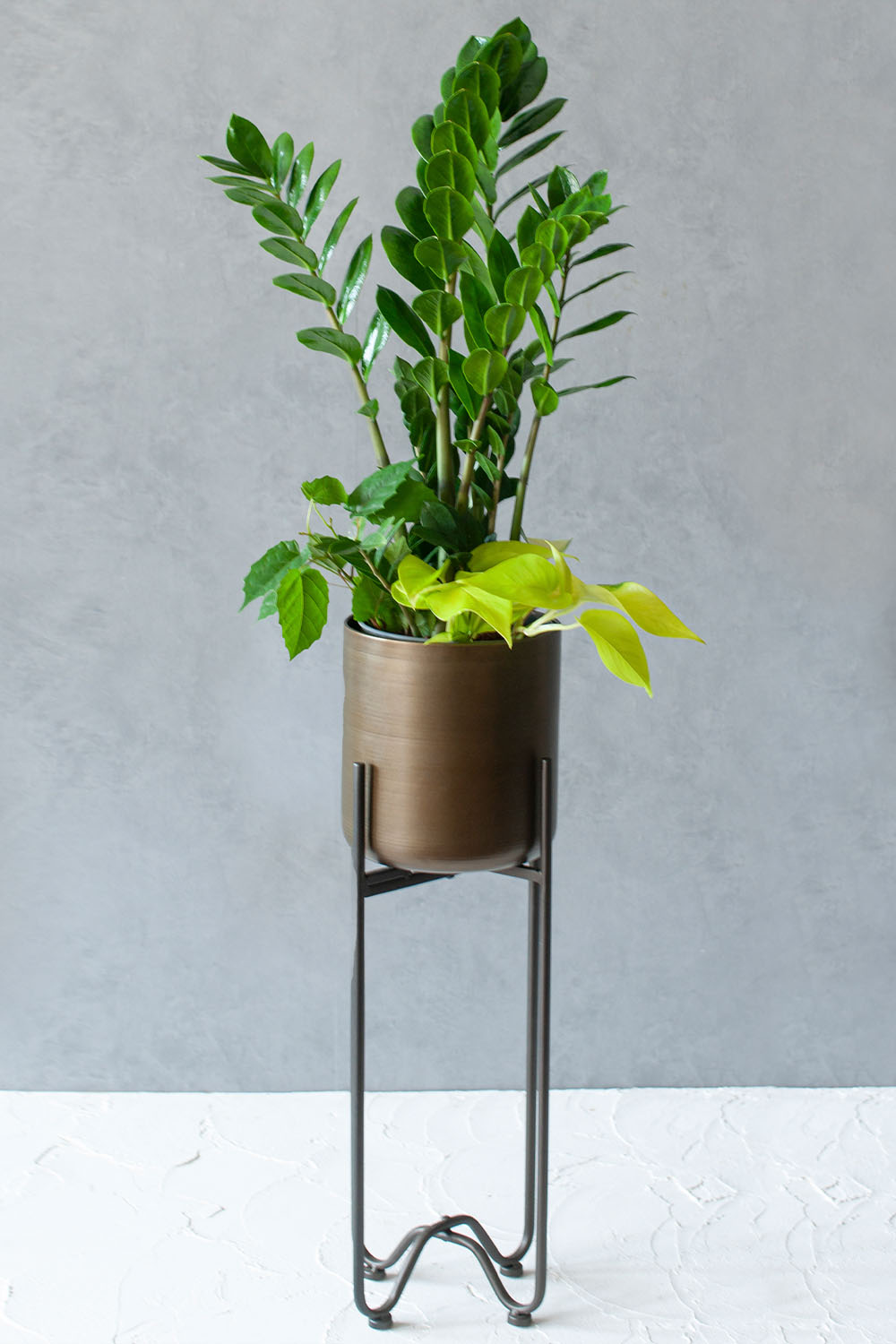 画像：【厳選】おすすめ観葉植物 ハイテーブルサイズ(100cm) 札付き　アイアンアンティークスタンド 付き