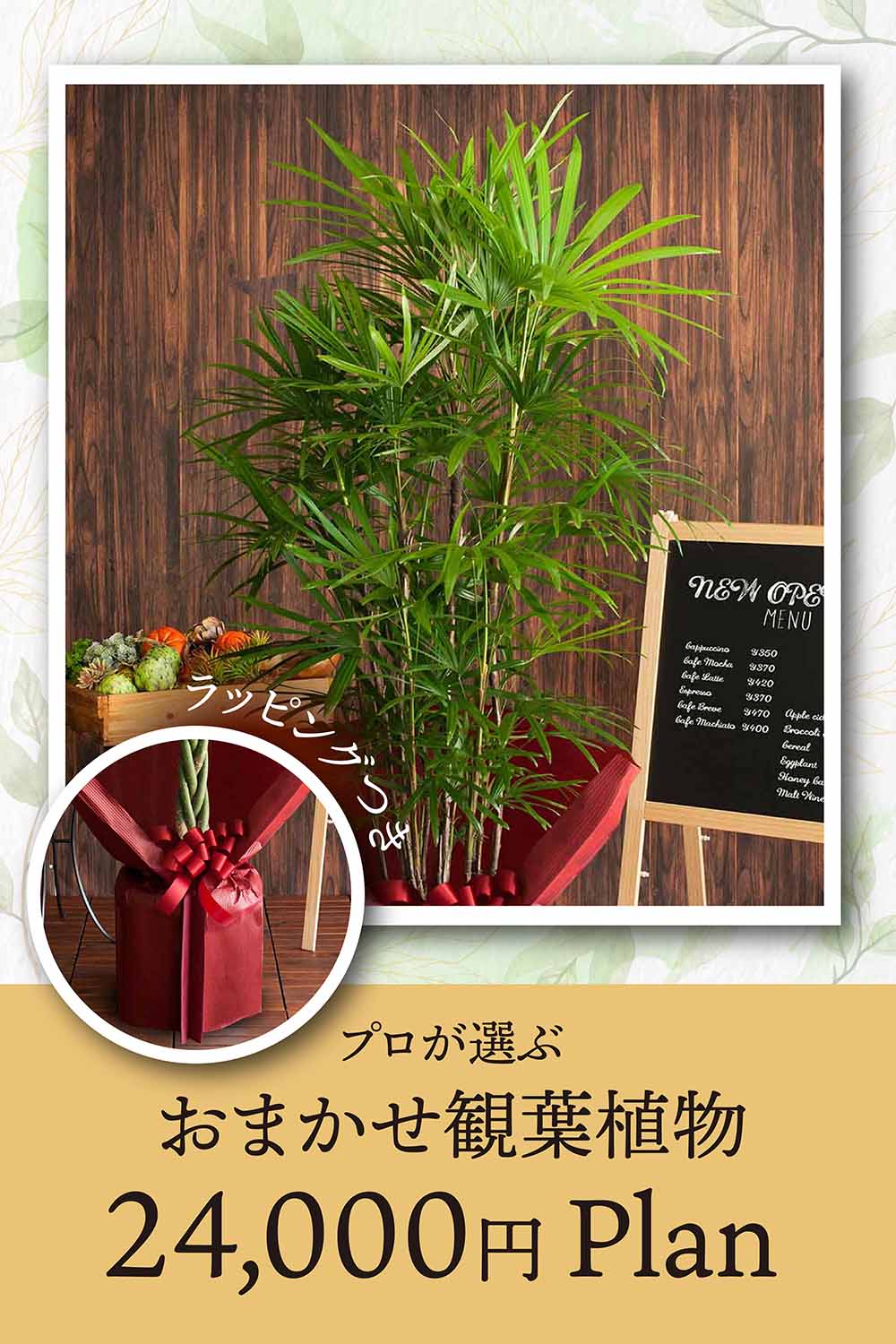 画像：【観葉植物おまかせ】<ラッピング付き> 季節のおまかせ観葉植物 Lサイズ