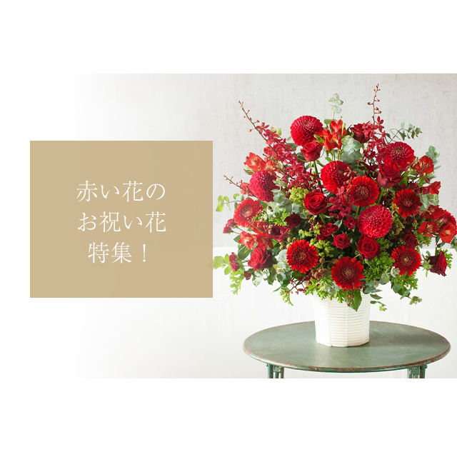 赤いお花を使った開店祝い・開業祝いの花