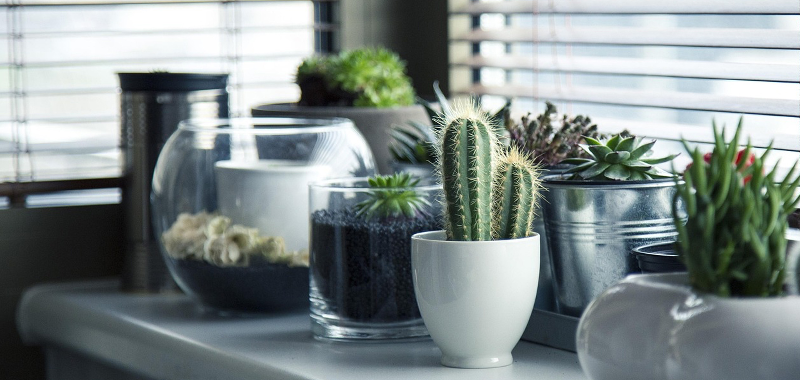 美容室に開店祝いの花を贈る際のマナー