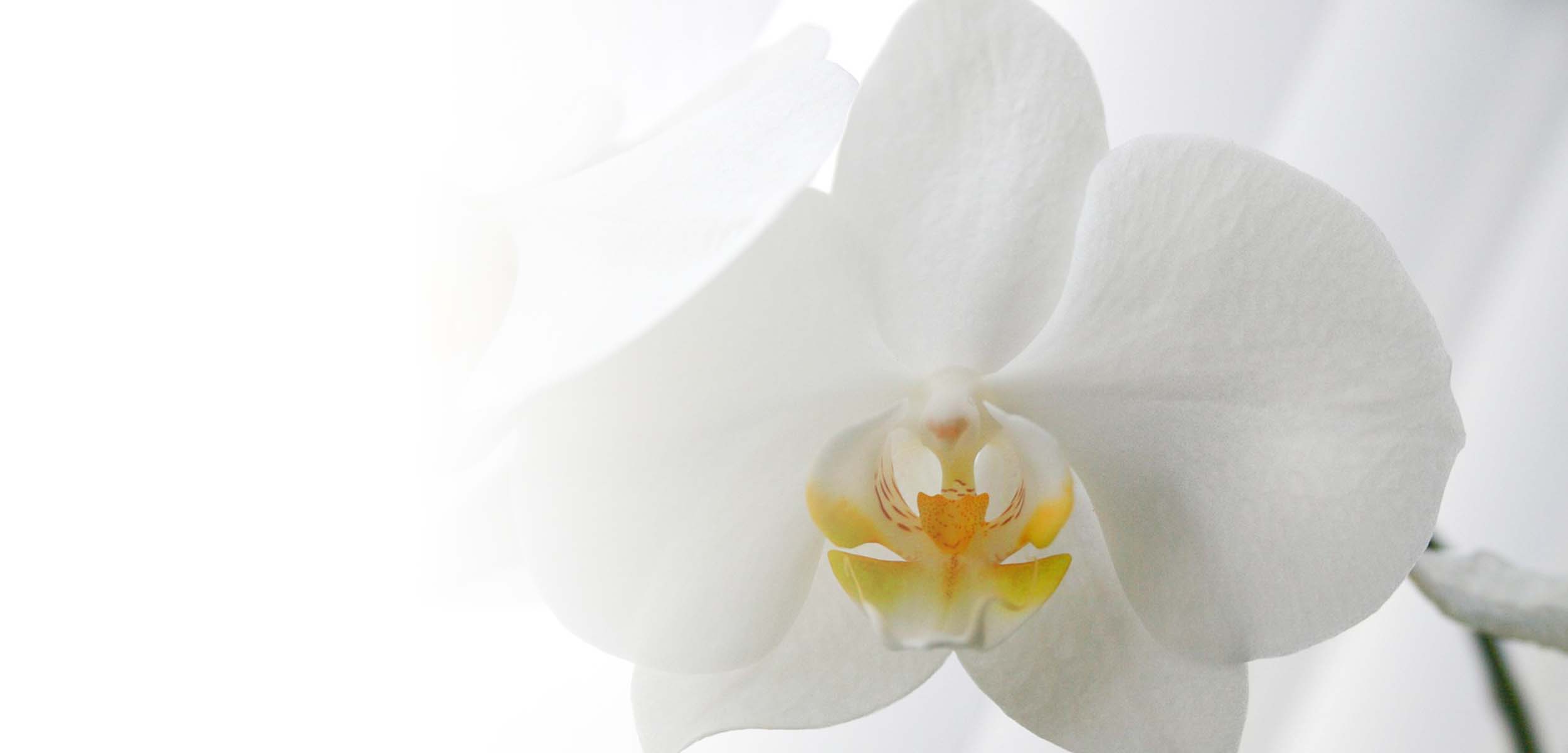 お花の窓口なら「立て札」も任せて安心