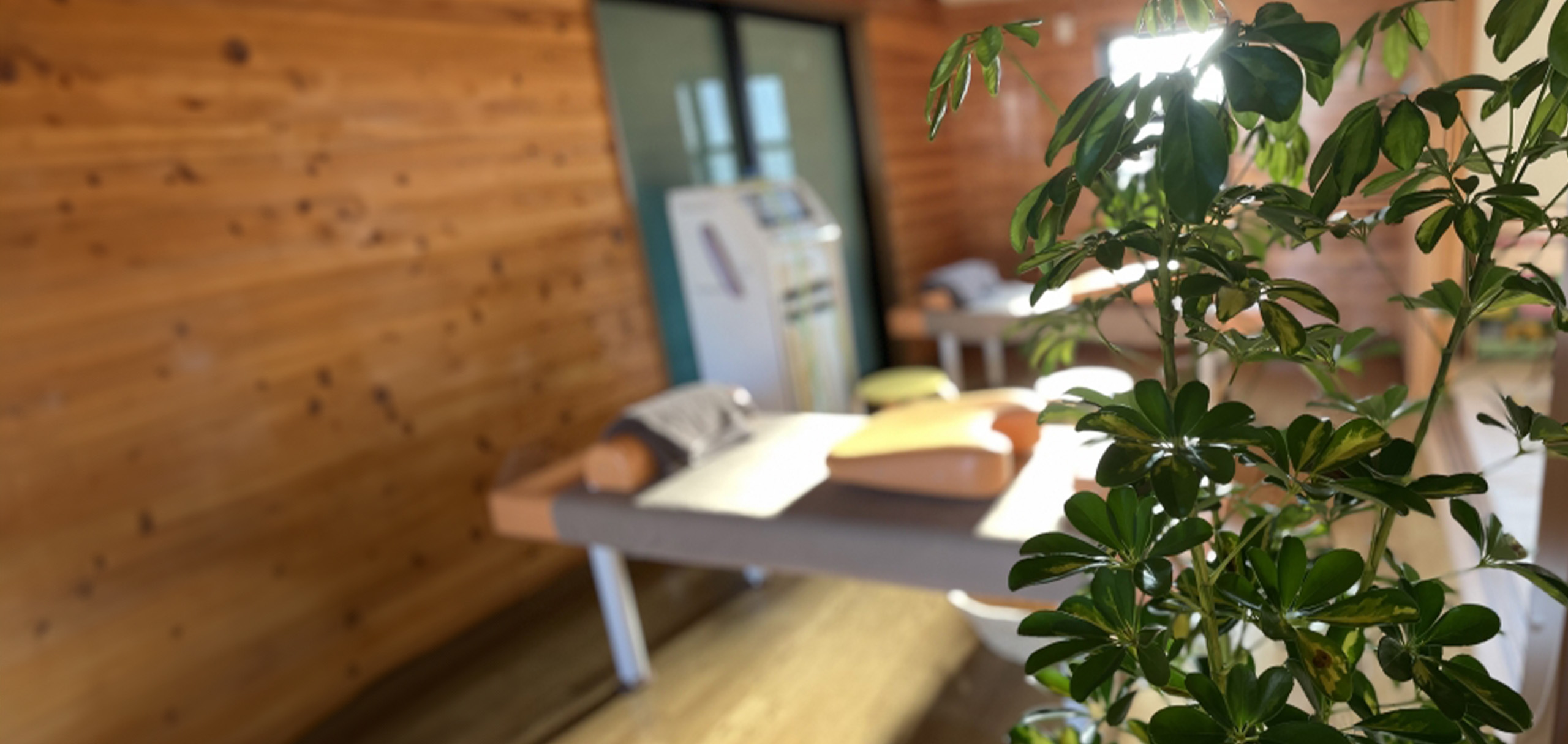 整骨院の開院祝いのお花の選び方