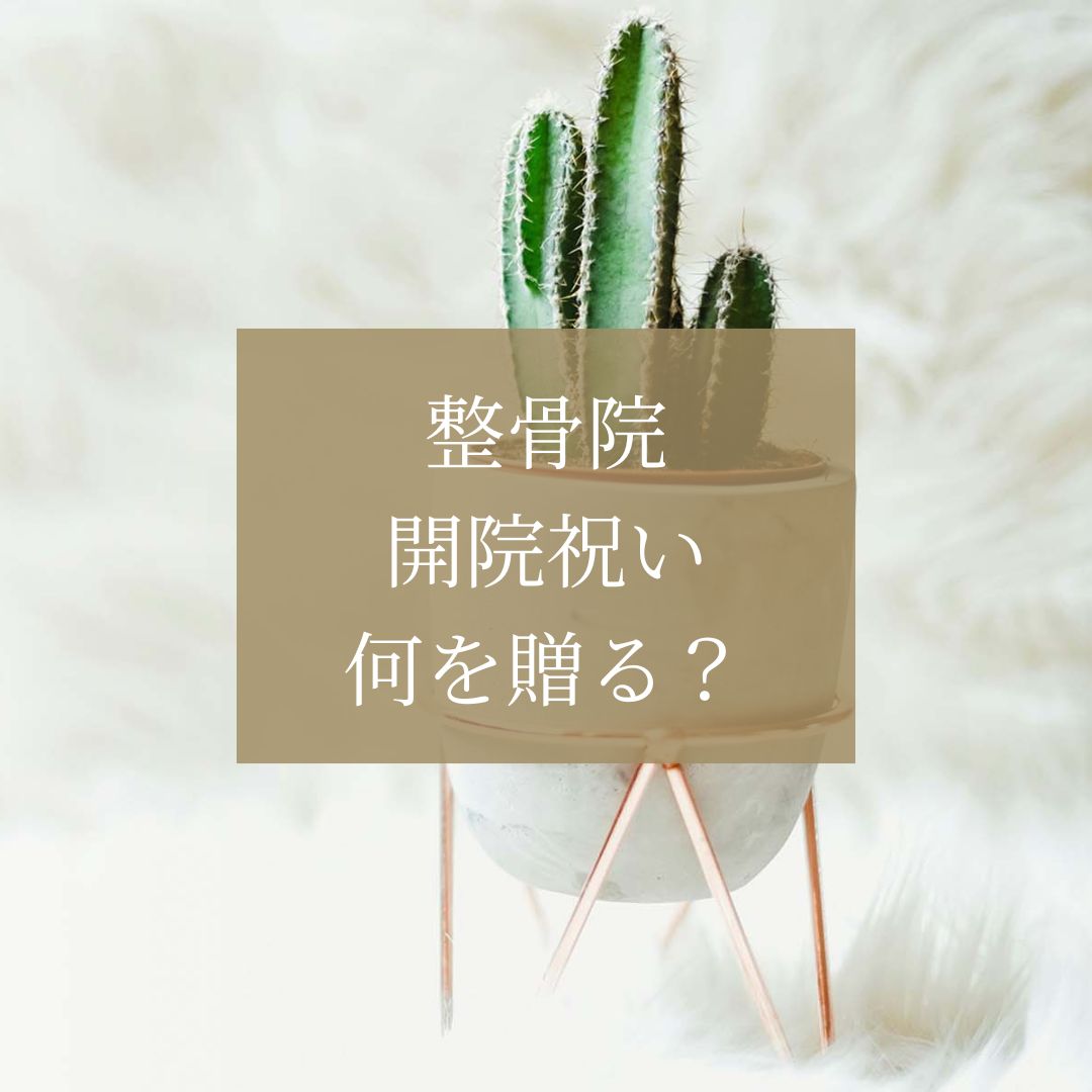整骨院の開院祝いに贈る花は？ おすすめのギフトとマナーを解説
