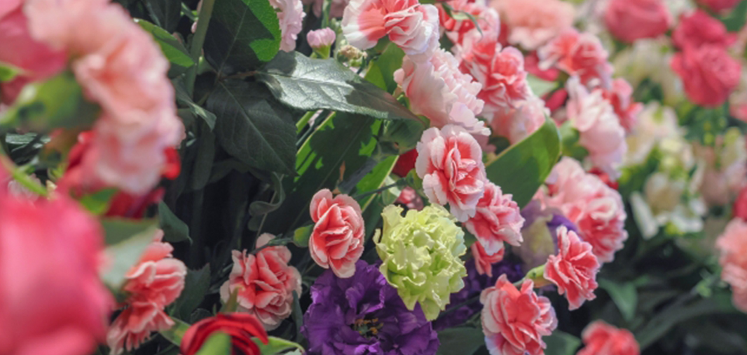 焼肉屋への開店祝いに贈るお花の種類