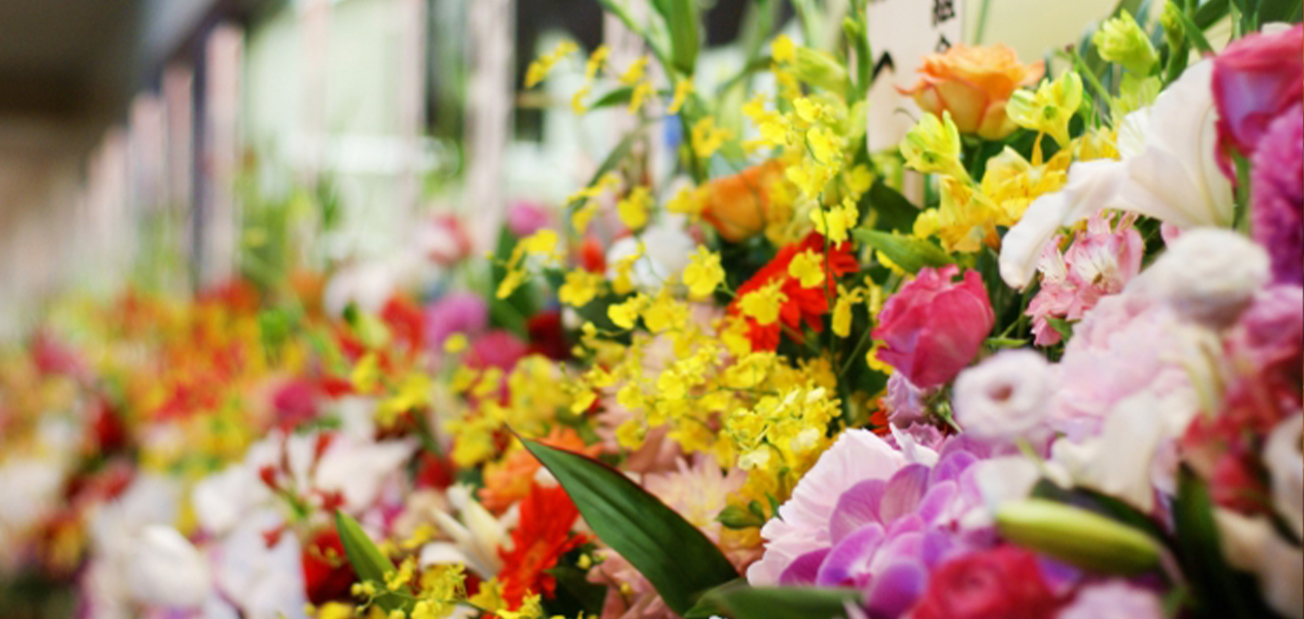 ラーメン店の開店祝いに贈る花の定番は？