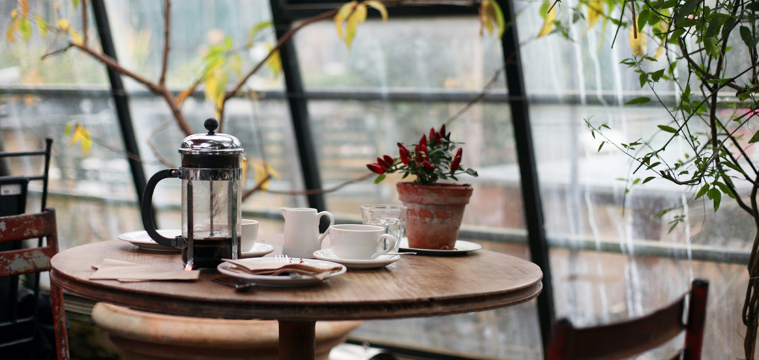 カフェの開店祝いに花を贈る意味