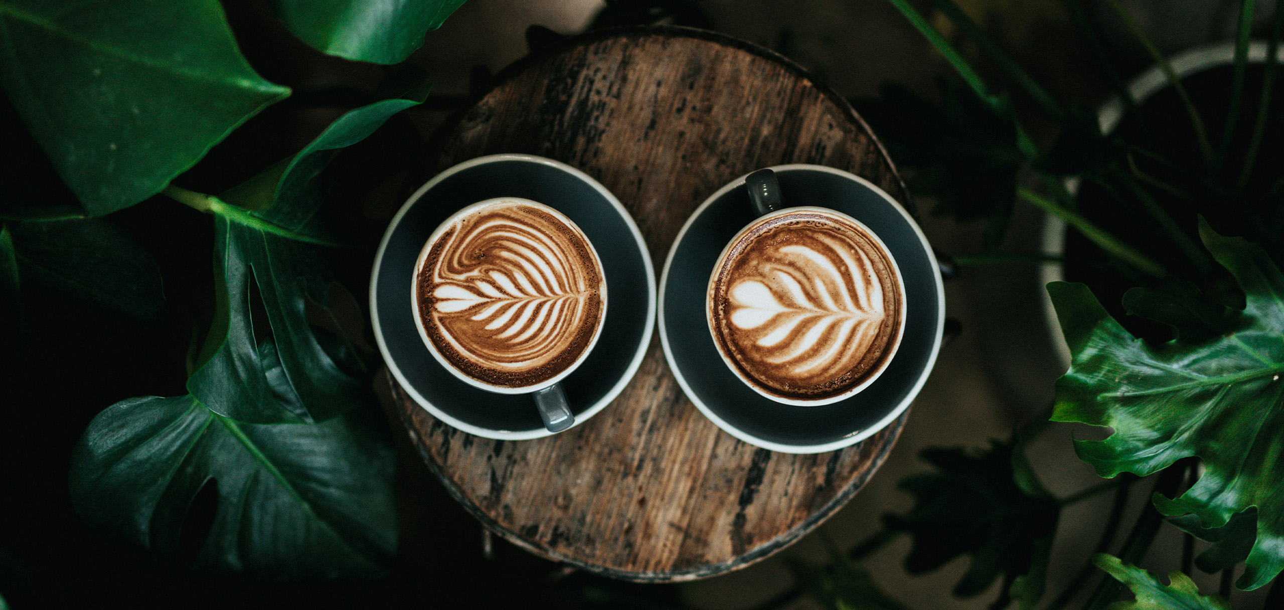 カフェの開店祝いの花のワンポイントアドバイス