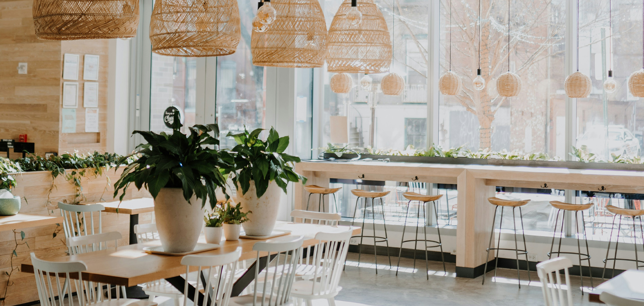 カフェの開店祝いに花を贈る際の注意点とマナー
