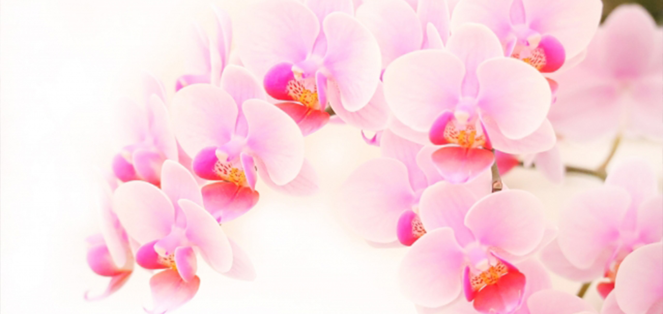 「安さ」だけで選ぶと失うもの ~ビジネスリスク~