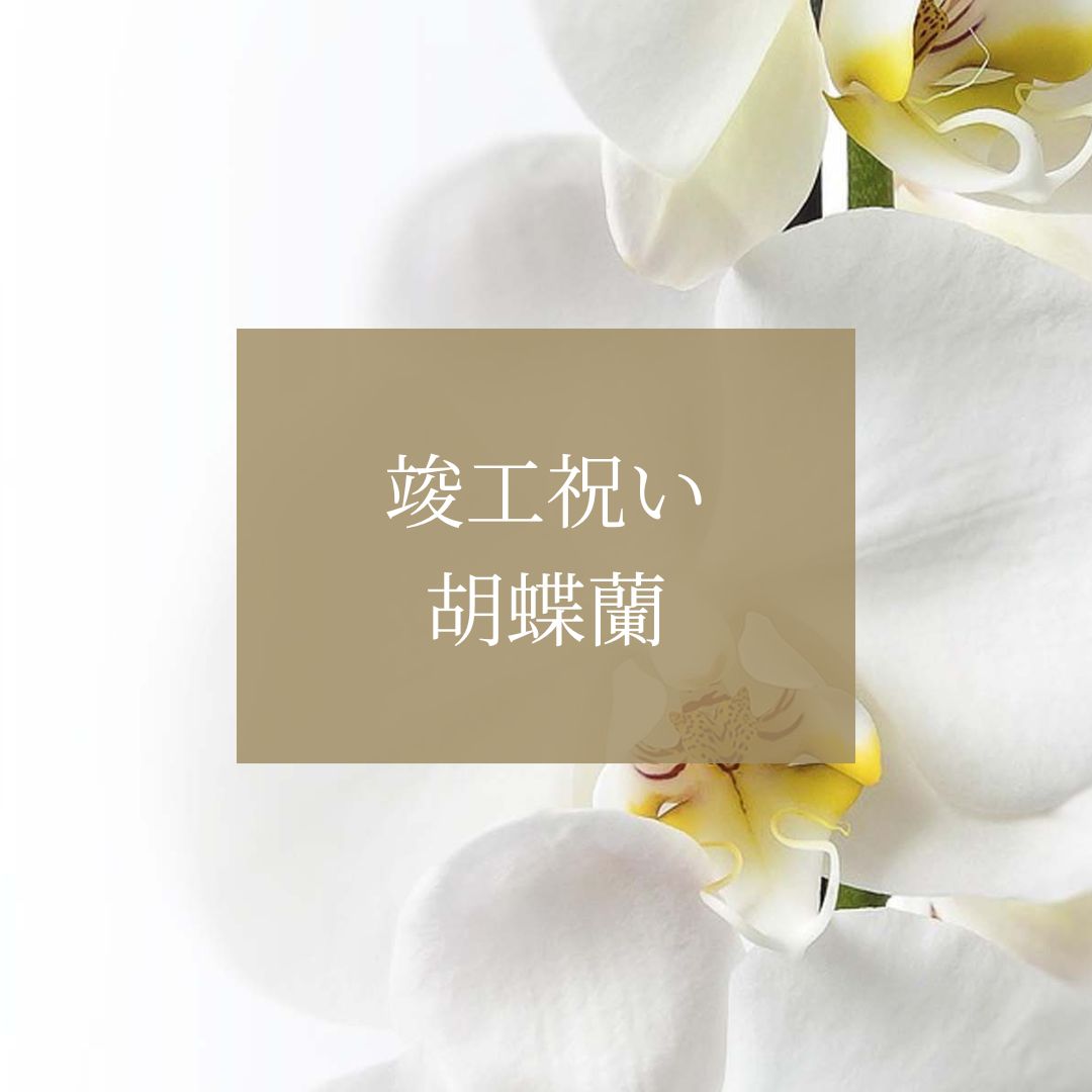 竣工祝い・落成祝いに贈る胡蝶蘭の選び方とポイント【法人ギフト専門家が解説】