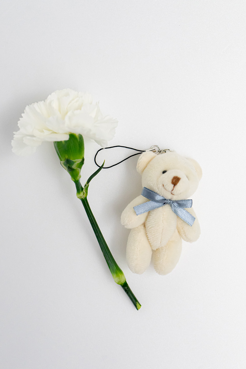 大切な人へ 言葉と花を届けるパック入りのお花 コトハナパック ぱっくまエディション カーネーション白 母の日向けお供えの花 お祝い お供えの花通販ギフトは送料無料の お花の窓口 へ