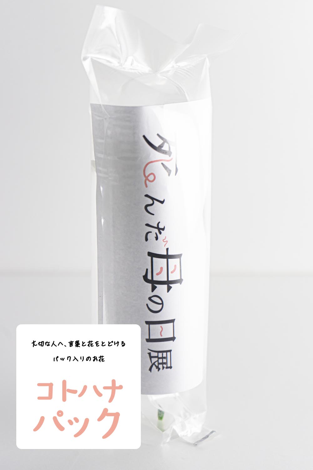 大切な人へ 言葉と花を届けるパック入りのお花 コトハナパック カーネーション白 母の日向けお供えの花 お祝い お供えの花通販ギフトは送料無料の お花の窓口 へ
