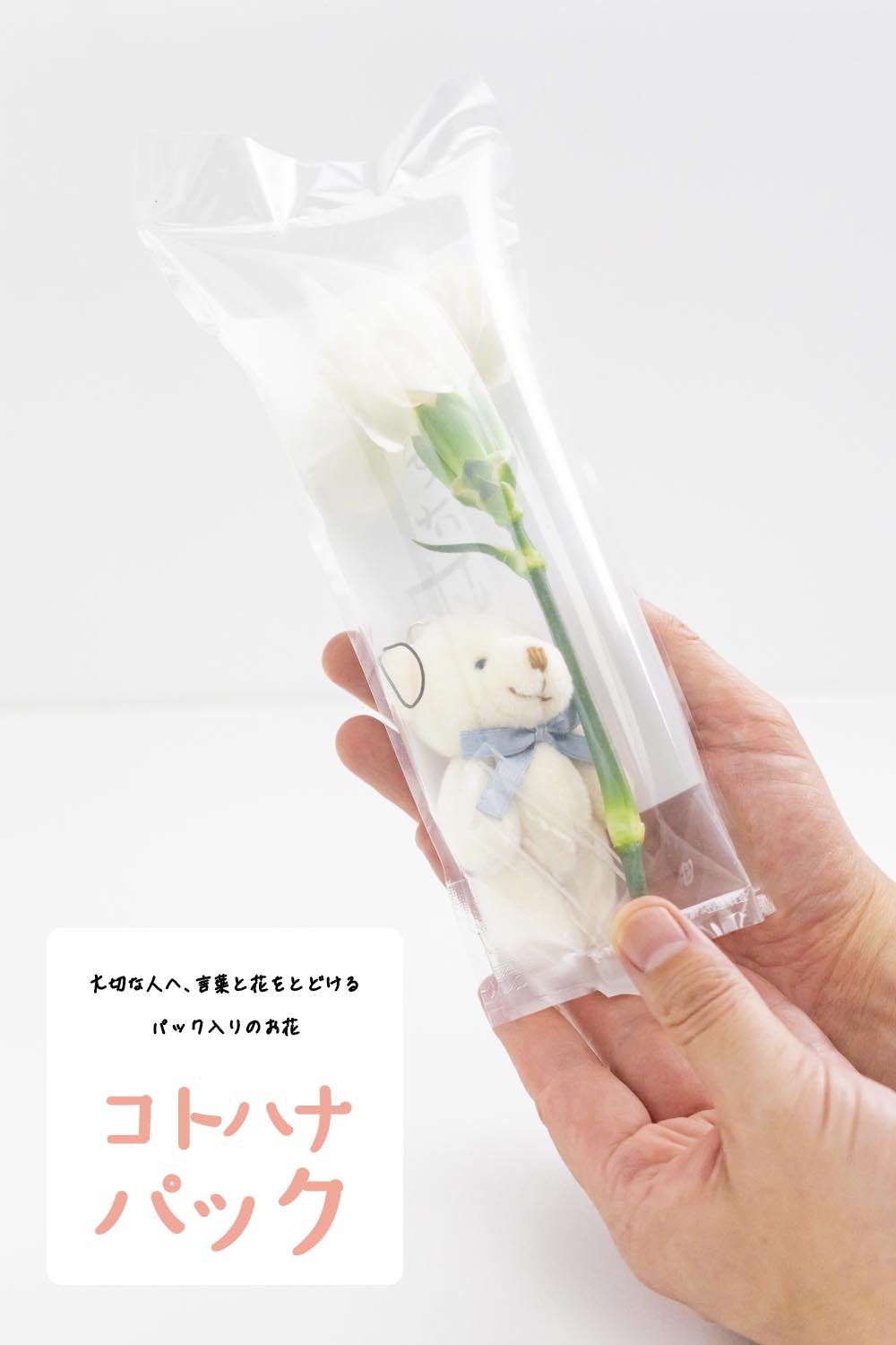 画像：大切な人へ、言葉と花を届けるパック入りのお花 「コトハナパック <ぱっくまエディション> 」カーネーション白 母の日向けお供えの花