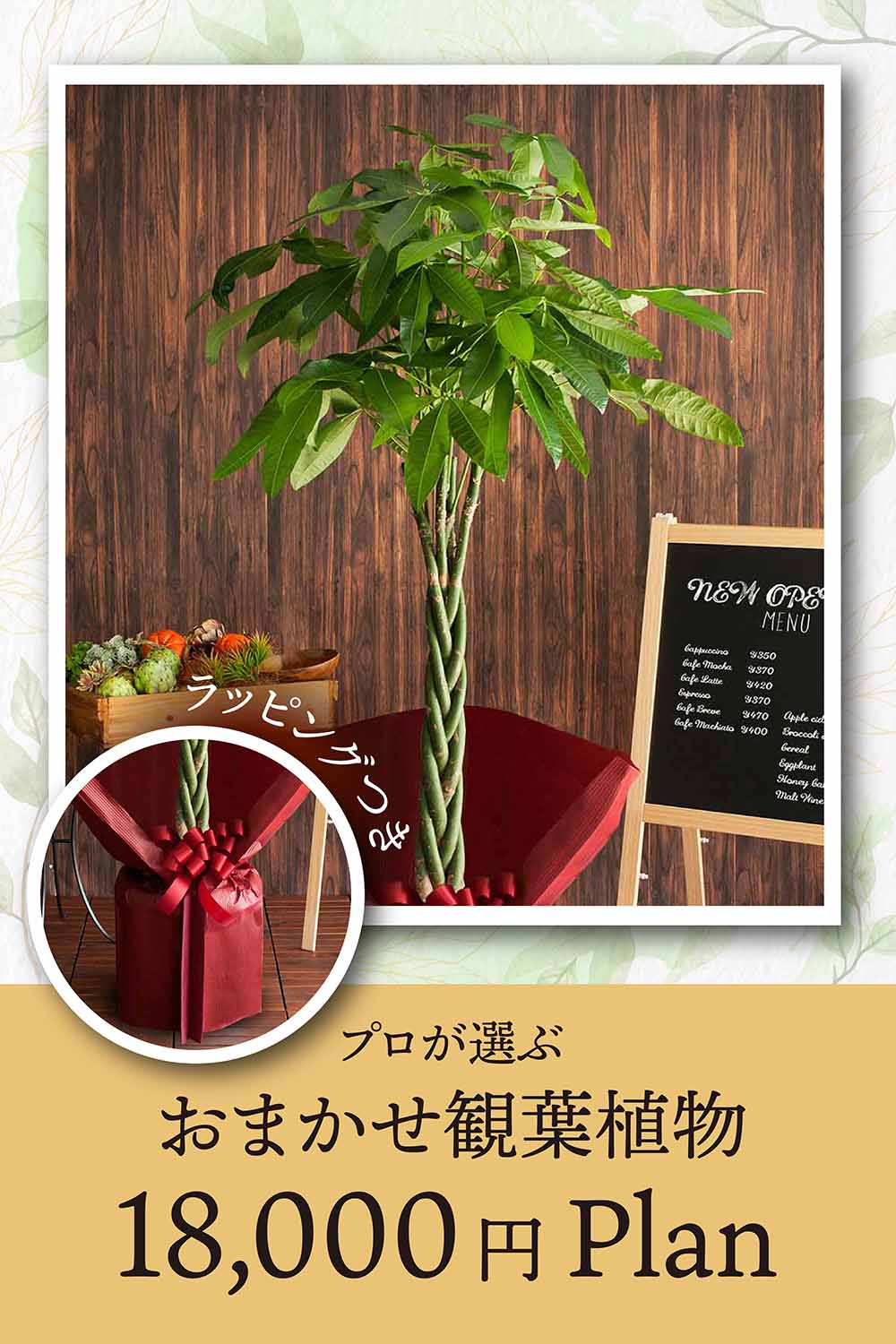 画像：【観葉植物おまかせ】<ラッピング付き> 季節のおまかせ観葉植物 Mサイズ