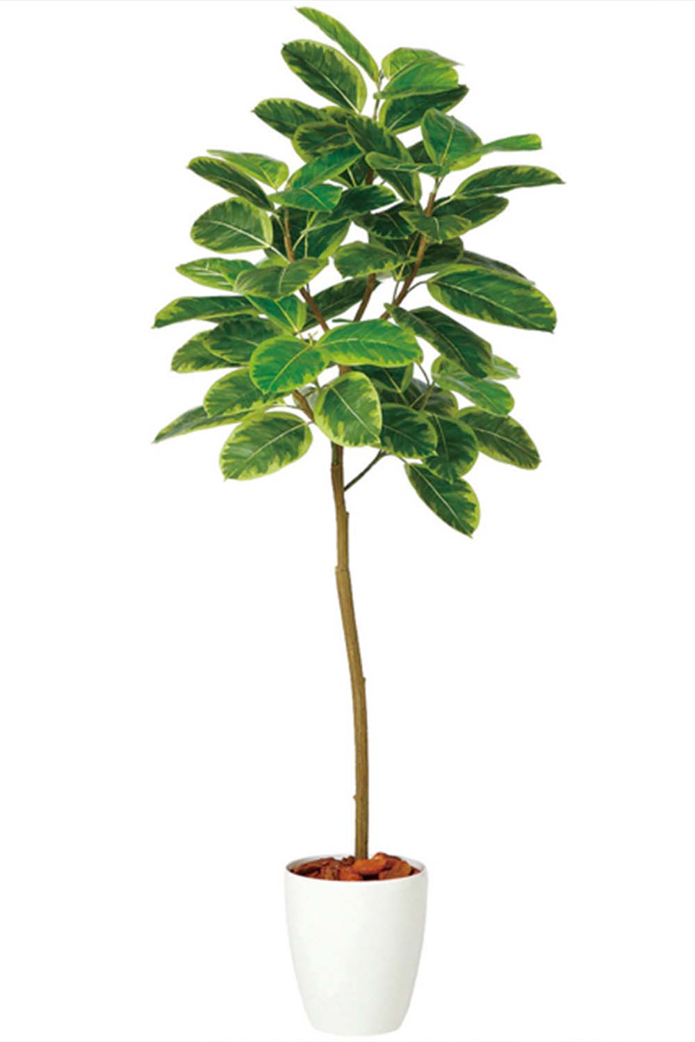 画像：【光触媒の観葉植物】アルテシマ(造花) 高さ150cm