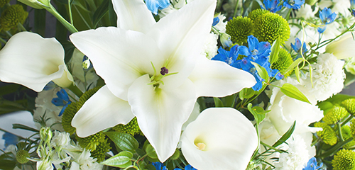 葬儀・告別式に贈る花は、どう選べばいいか。